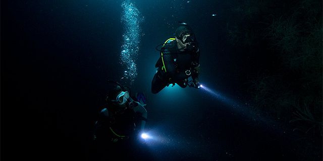 Night dive on the west coast mauritius (1)
